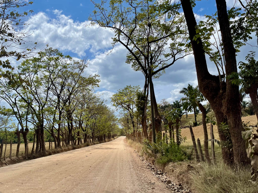Unpaved road lined by trees, a common sight in the rural areas. Expect to drive on such roads.