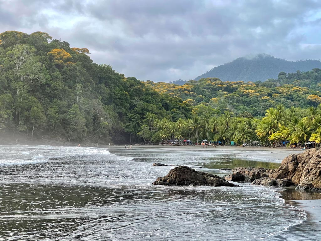 A calming view of Playa Ventanas, beach surrounded by lush forest.