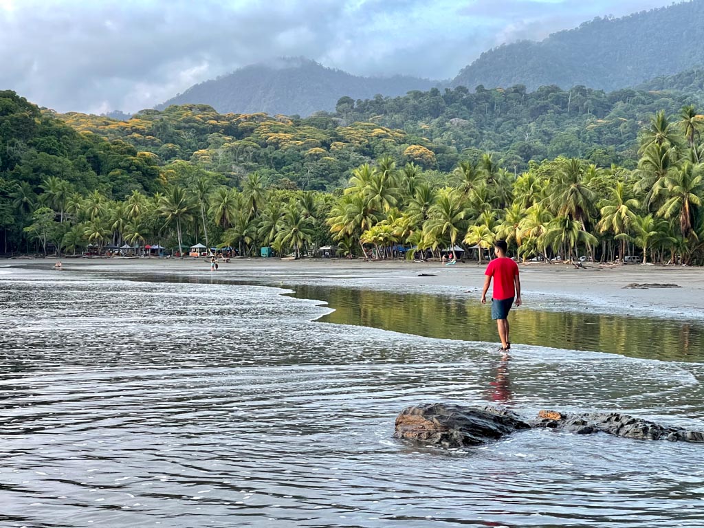 A man wearing red t-shirt and blue shorts, enjoying his walk on the beach framed by lush jungle.