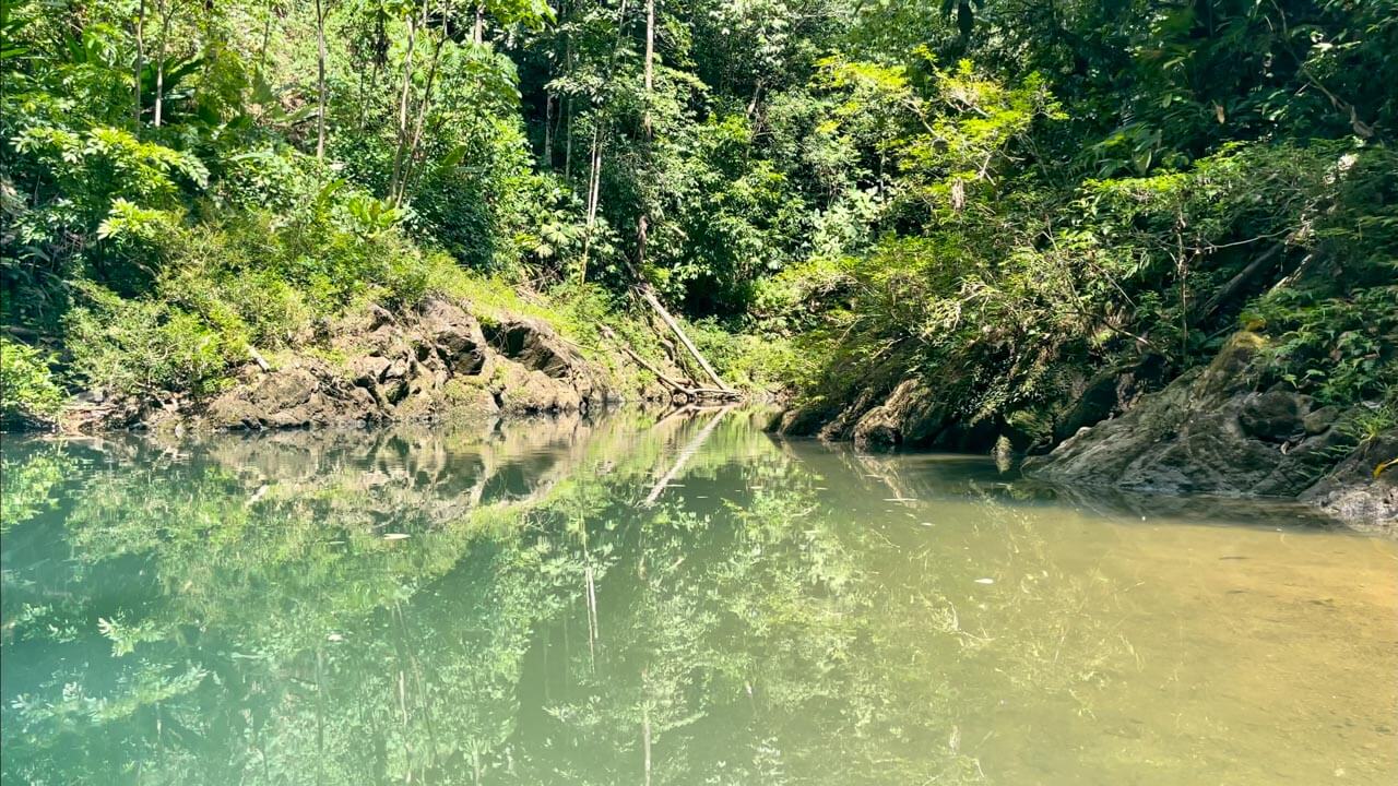 Reflections of the green jungle on the river water surface of Rio Claro in Drake Bay.