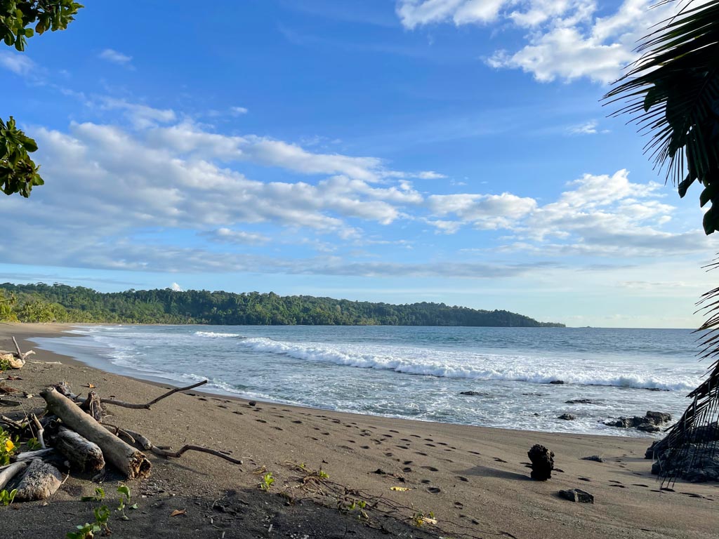 A secluded beach in Costa Rica, Playa Rincon, lined by the lush forest of the Osa peninsula.