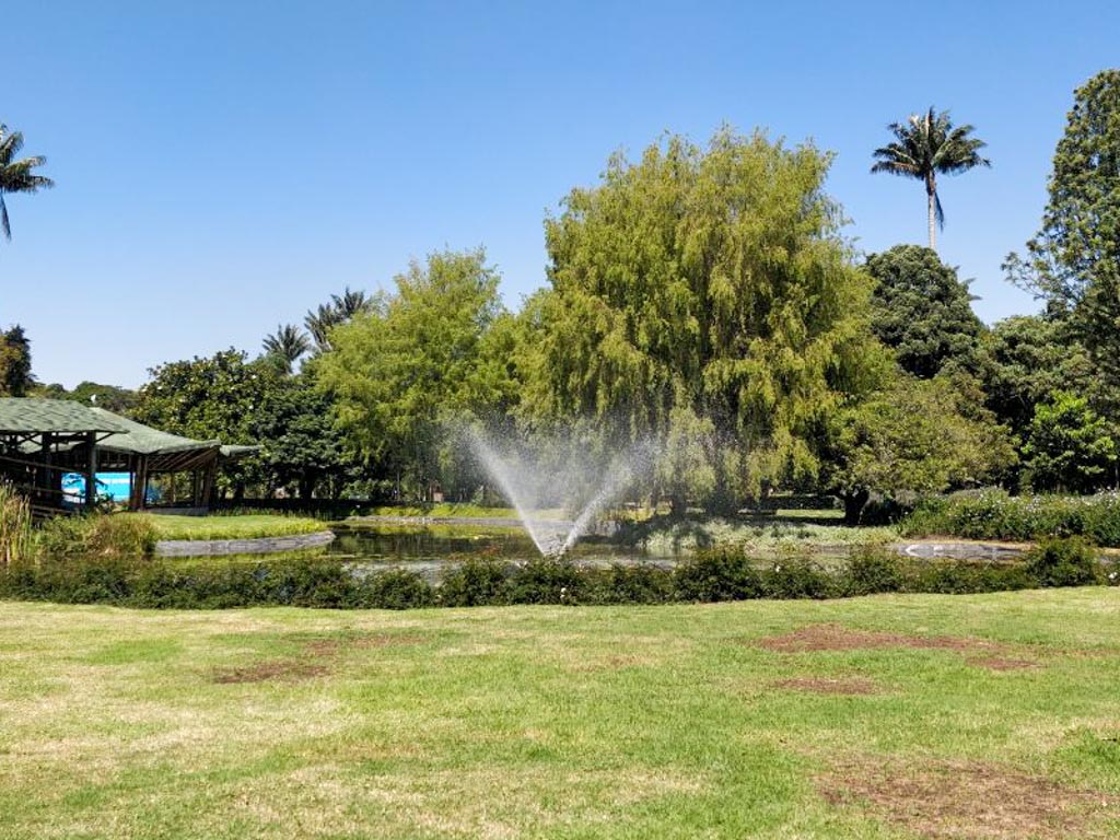 Park in Bogota, Colombia.