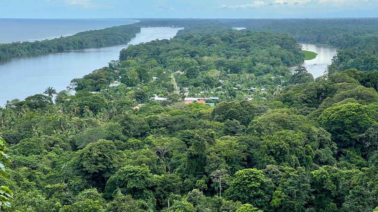 View from the top of Cerro Tortuguero