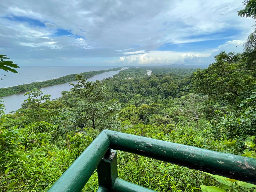 View from the top of Cerro Tortuguero.
