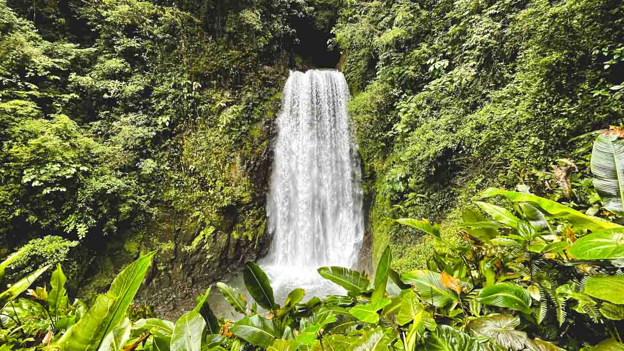The first large waterfall on El Tigre Monteverde hiking trail.