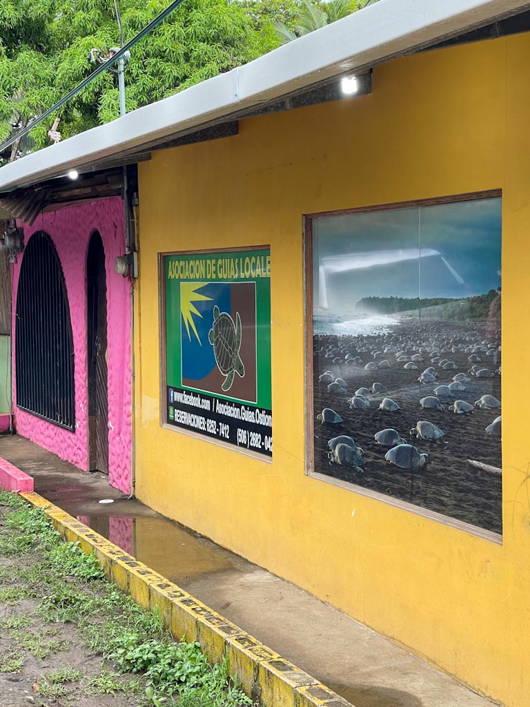 AGLO office exterior. with yellow and pink walls. 