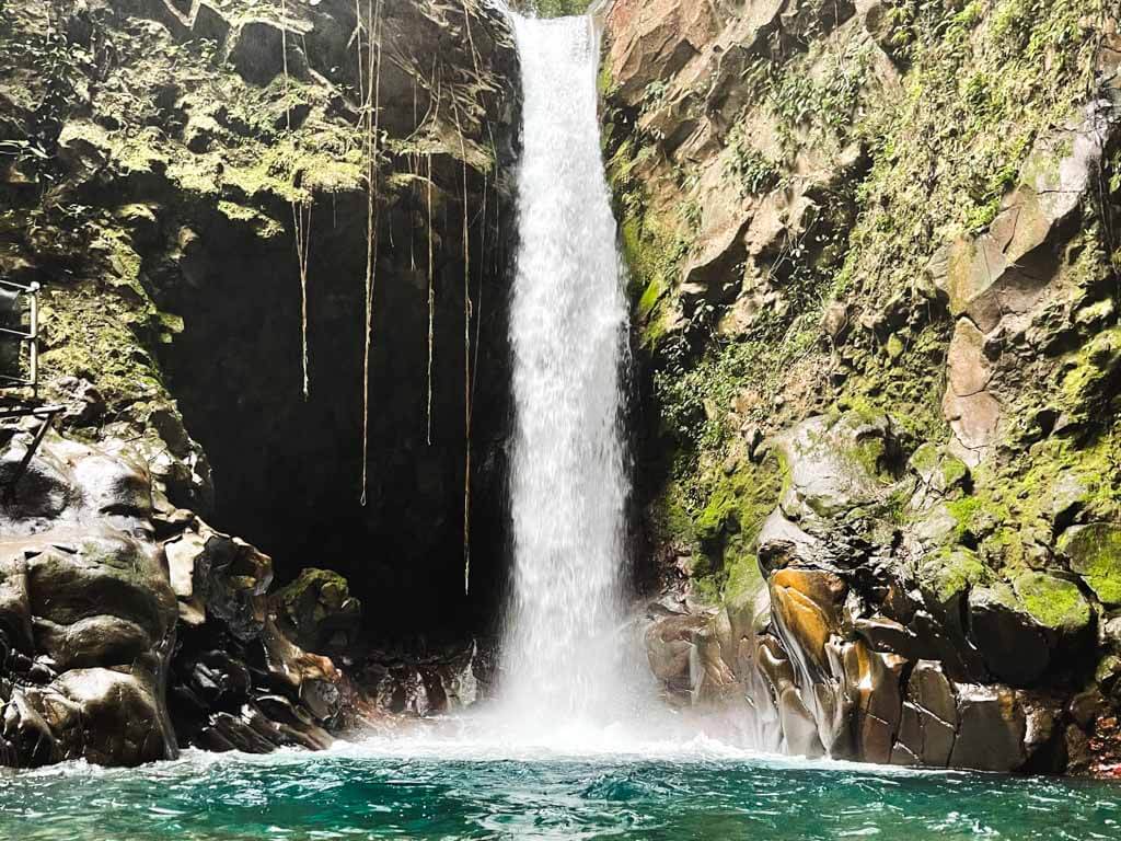 Oropendola waterfall.