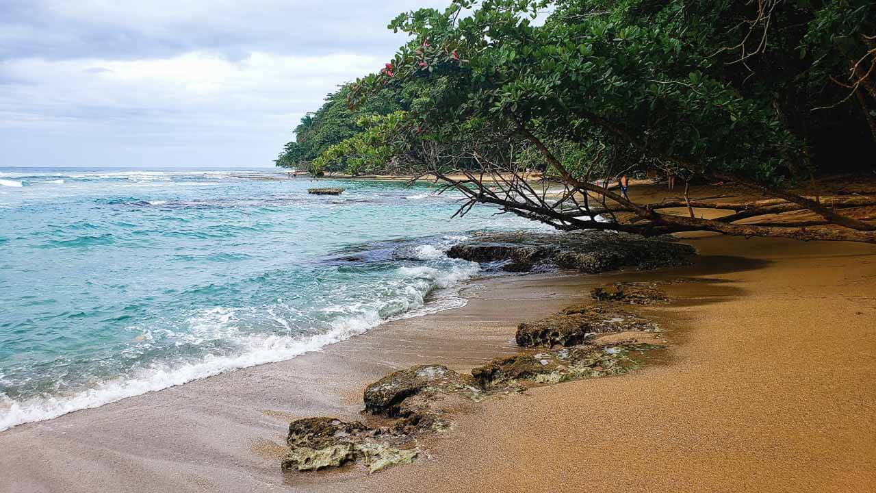 Playa Chiquita, a beautiful beach in Puerto Viejo de Talamanca in Costa Rica.