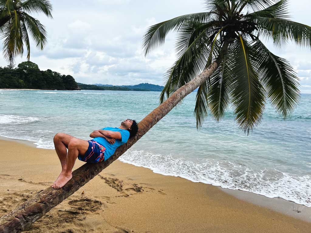 A man, wearing blue t-shirt and colorful shorts, taking a nap on a palm tree by the beach at Punta Uva in Puerto Viejo de Talamanca in Costa Rica.