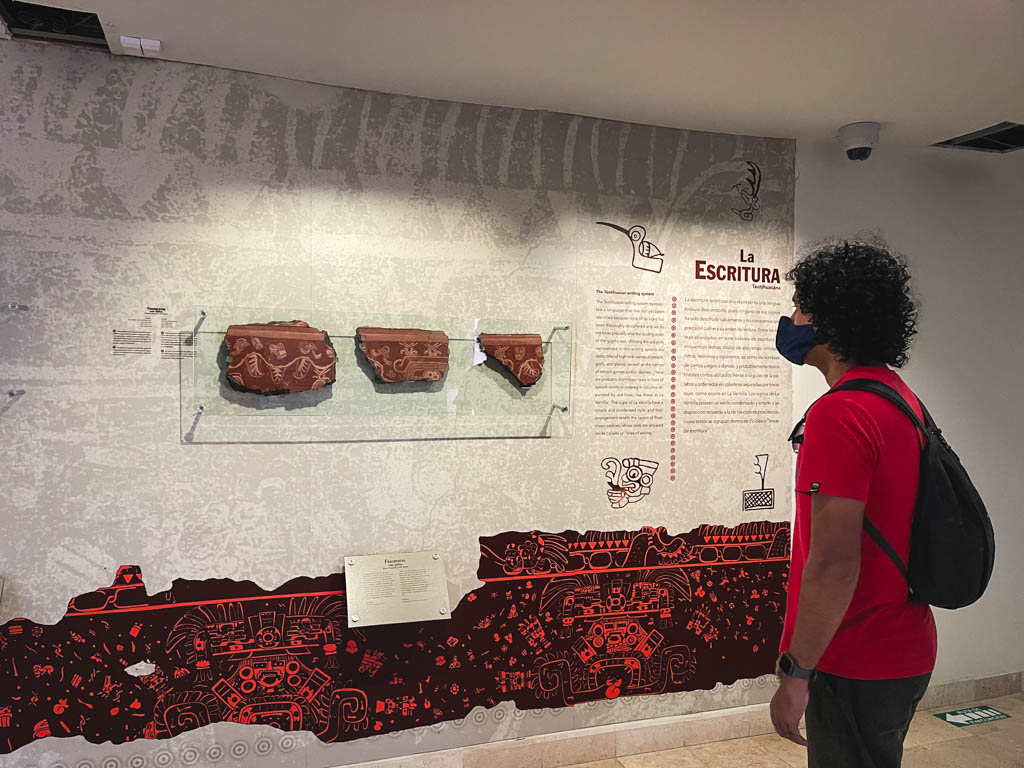 A man wearing red t-shirt and carrying a small black backpack, reading and observing the exhibits at the Painted Walls Museum in Teotihuacan.