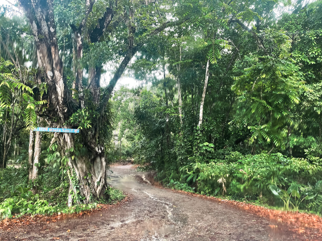 A dirt gravel road surrounded by lush jungle in the South Pacific region of Costa Rica.