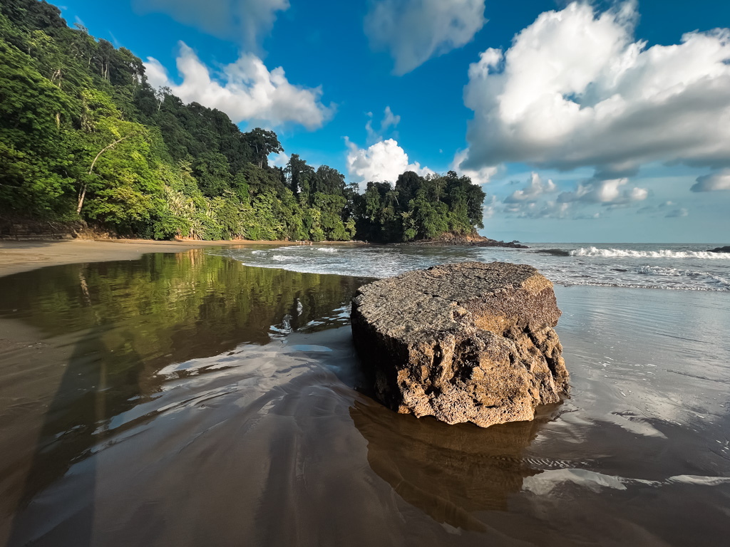 A big stone in the foreground of a beach lined with lush jungle.