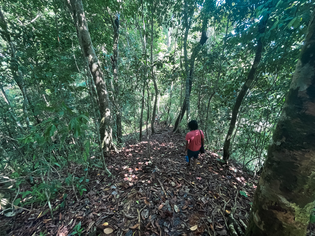 Man walking on a jungle path, a hidden trail to Playa Arco in Costa Rica.
