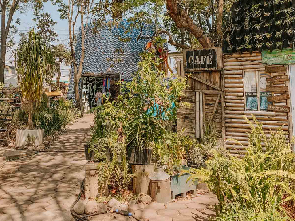 Huerto Roma Verde, a community center in Mexico City.