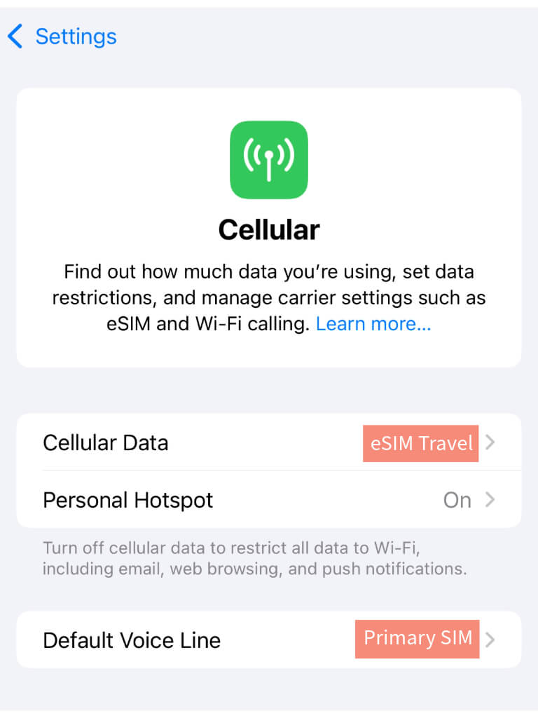 A screenshot of an iphone to to allocate different SIMs for different purposes - Cellular data or voice.