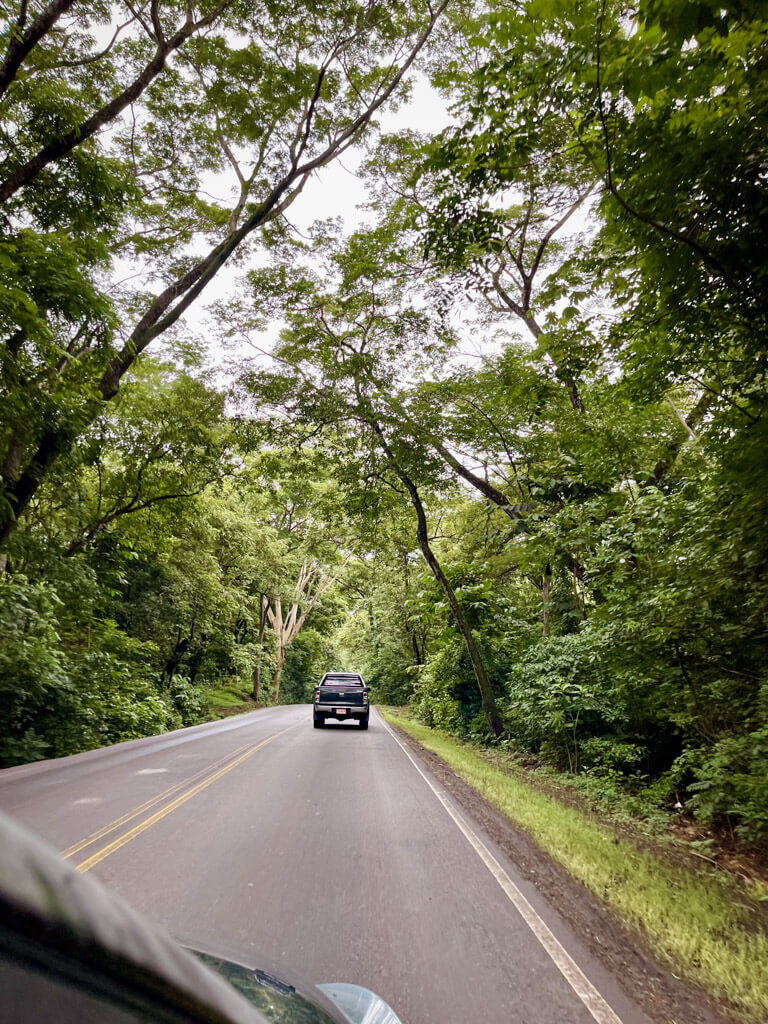 Road lined with lush vegetation on either side. A typical road trip scene in Costa Rica.