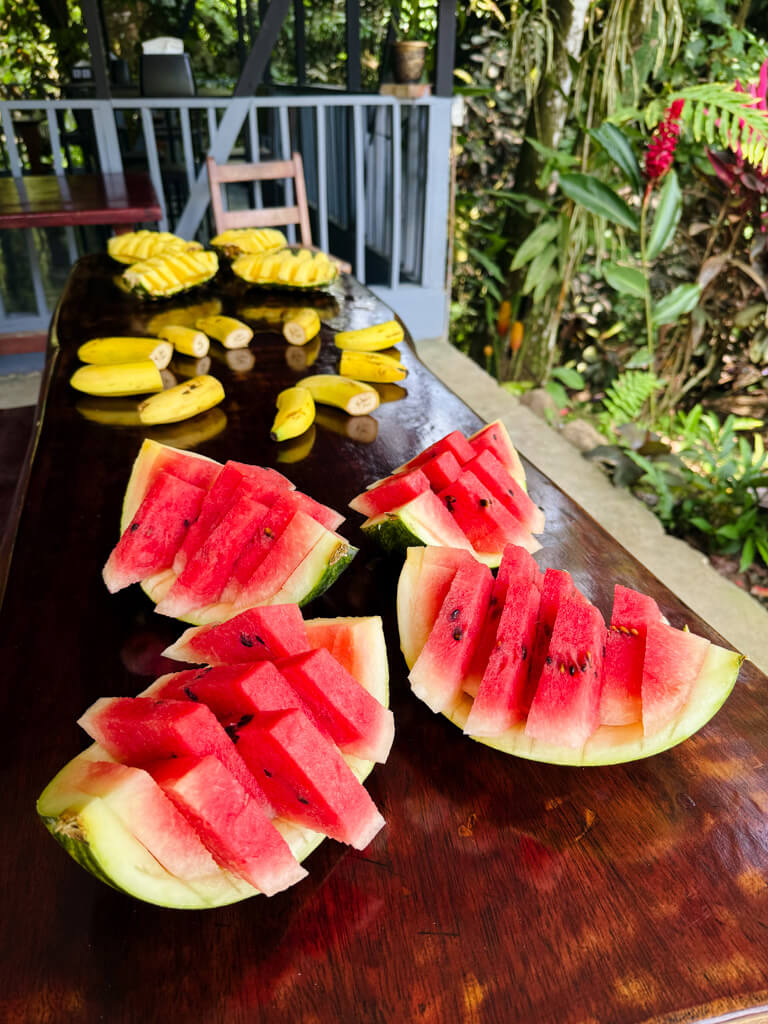 Watermelons and bananas. Fresh fruits are offered during the Full Day Waterfall Tour with Paddle 9.