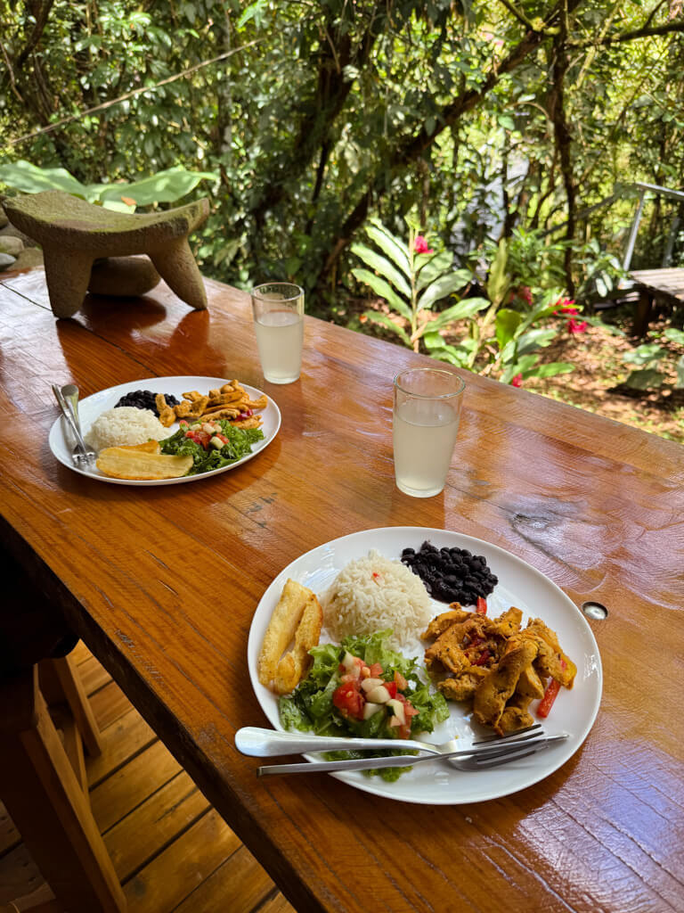 Two plates of typical Costa Rican lunch placed on a wooden table.