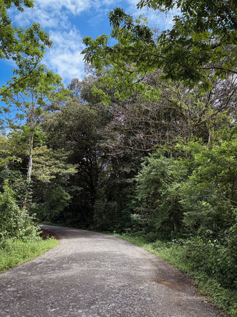 An unpaved stretch of the road to Rio Celeste Tubing Tour starting point.
