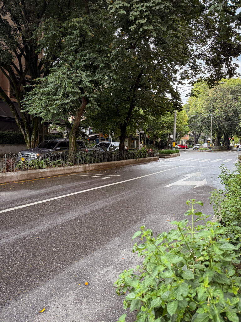 A tree-lined road along the relaxed neighborhood of Laureles in Medellin.
