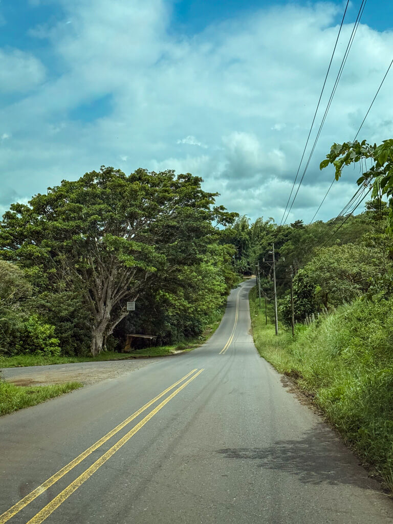 Well paved road with clear yellow divider marks between La Fortuna and Tilaran.
