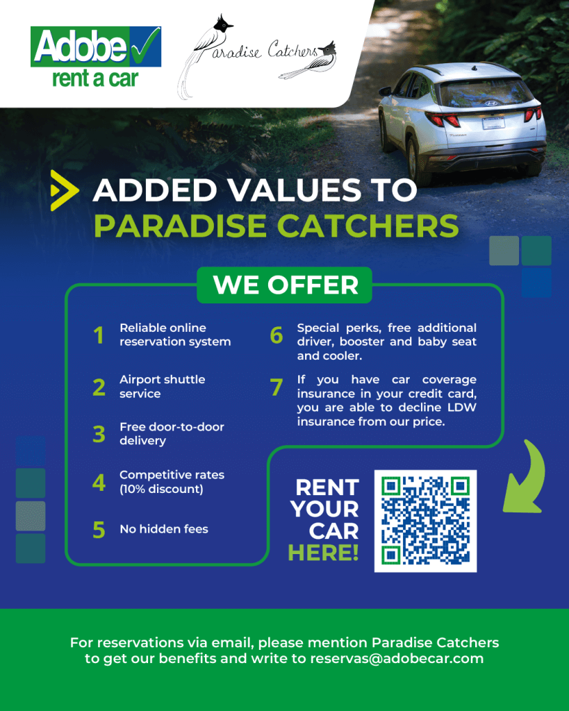 QR code for Adobe Rent A Car X Paradise Catchers Costa Rica car rental deal.