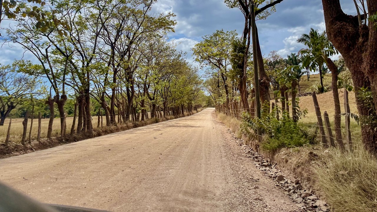A gravel roads lined with trees on a clear day, on the way to Nosara, Costa Rica